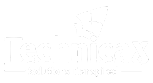 Techincax footer logo